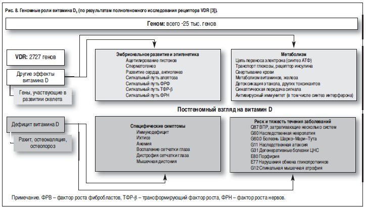 Ребров Громова Витамины Макро И Микроэлементы