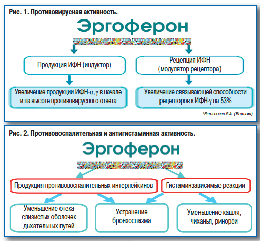 схема приема эргоферона для детей