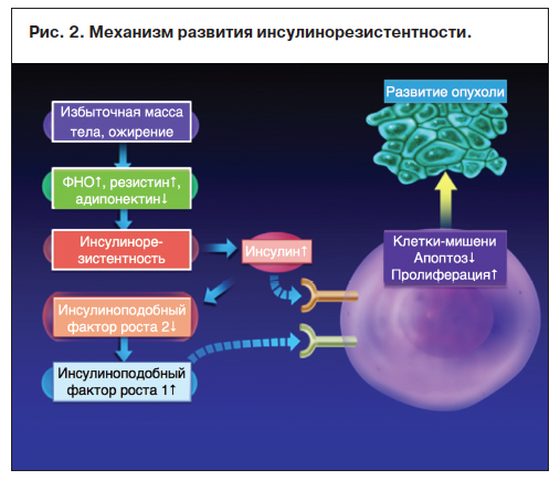 Вялов Гастроэнтерология Практическое Руководство