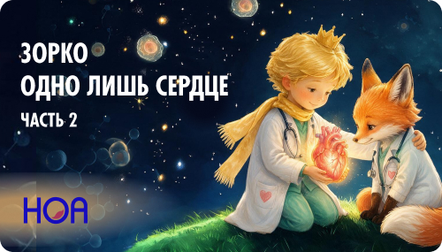 НОА Зорко Часть 2