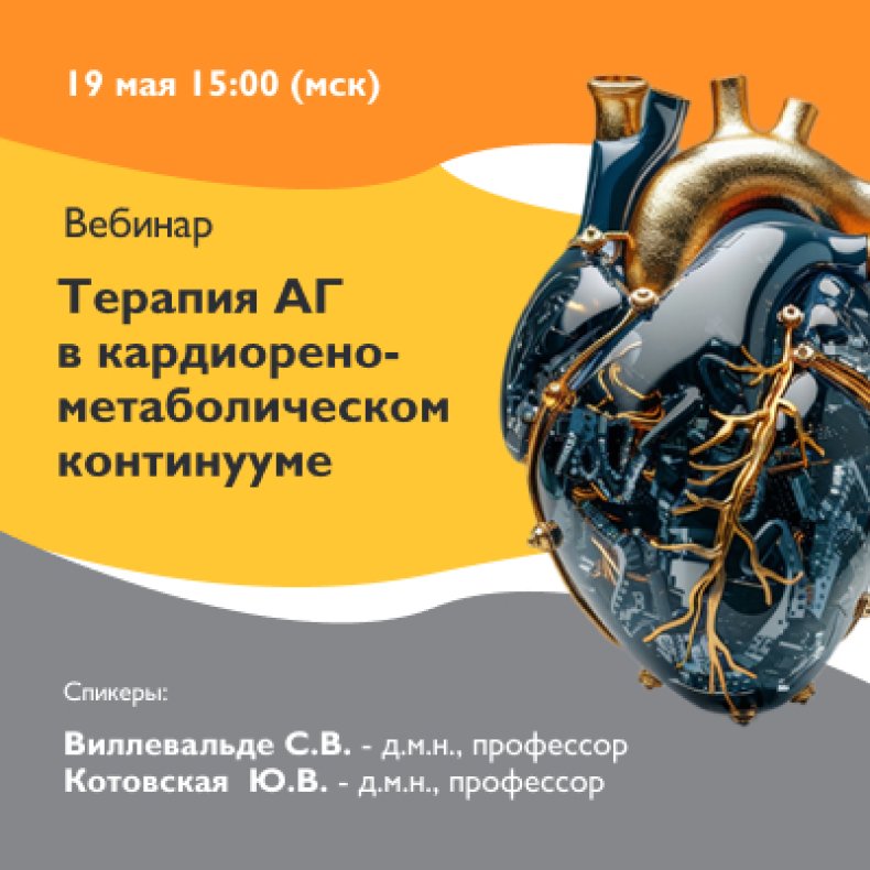 Терапия АГ в кардиоренометаболическом континууме