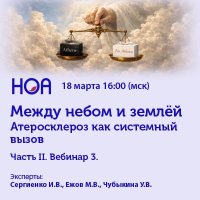 Между небом и землей Часть II. Вебинар 3