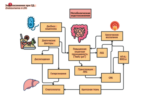 Снимок экрана (59).png