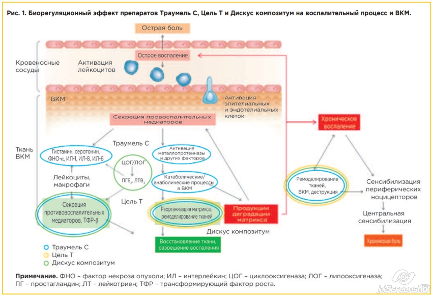 Траумель дискус цель т